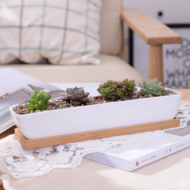 Desktop Organizer Bamboo - وعاء زراعة عصاري من السيراميك الأبيض