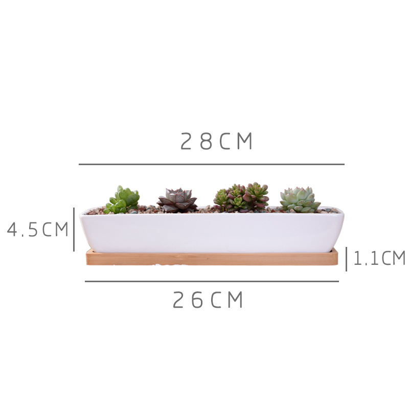 وعاء زراعة عصاري من السيراميك  - مراجعة Desktop Organizer Bamboo وسعره