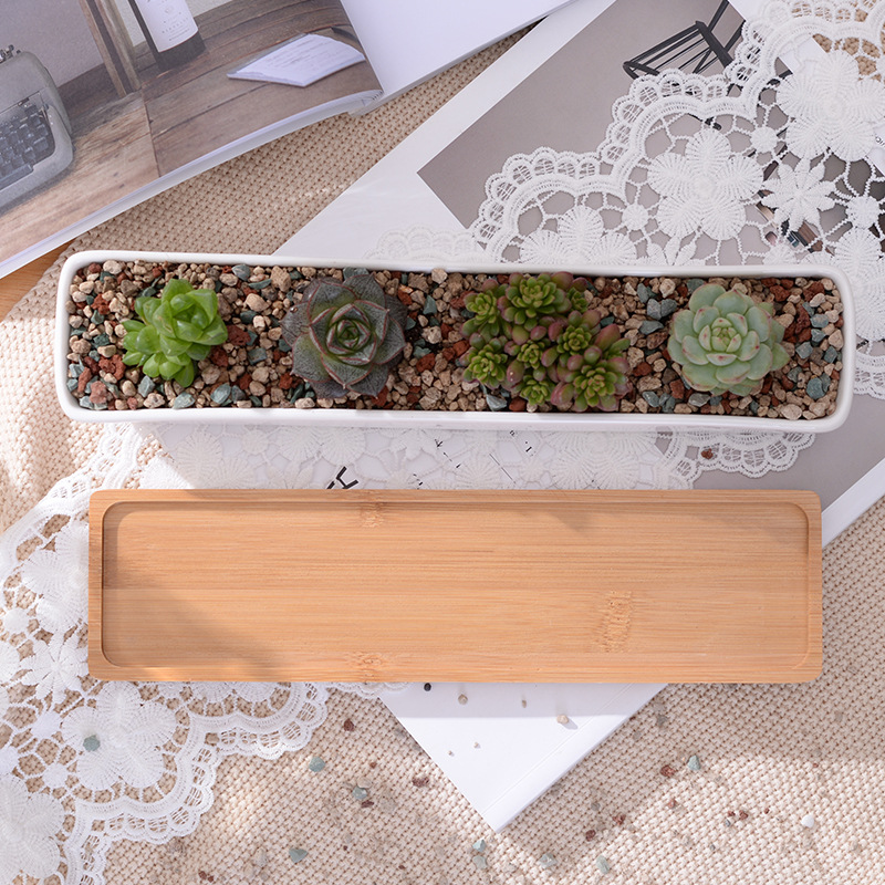 وعاء زراعة عصاري من السيراميك  - مراجعة Desktop Organizer Bamboo وسعره